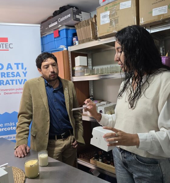 semilla emprende