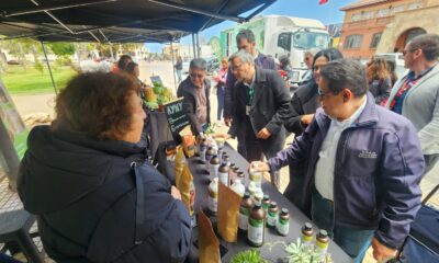 Mercado Campesino