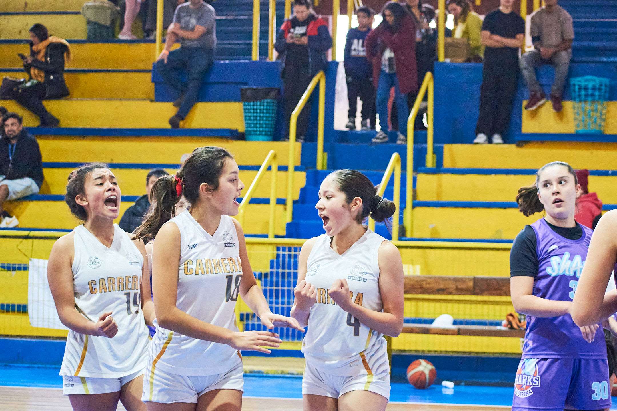Básquetbol Clausura