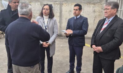 corte de apelaciones